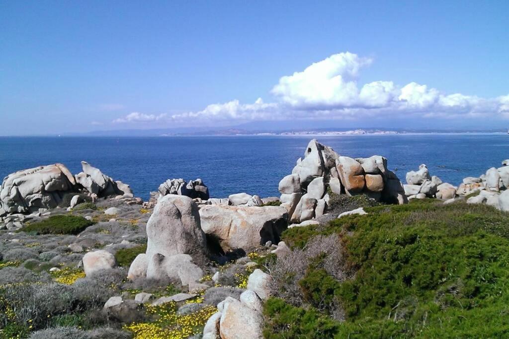 Una Splendida Terrazza Sul Mare 산타테레사의갈루라 외부 사진